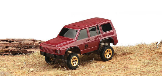 RC Micro Cars Types